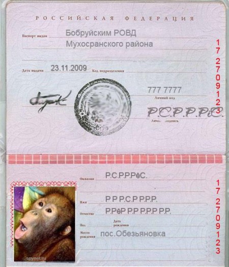 база данных мвд россии 2016 rus torrent